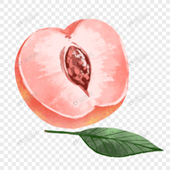 9.1免费网站APPAPP应用