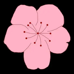 亚洲精品高清APP应用