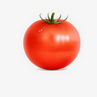 WWW,260av·COM网站APPAPP应用